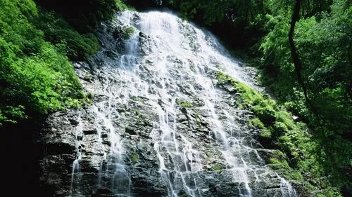 高性能科技
